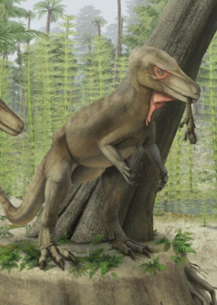 Staurikosaurus photo