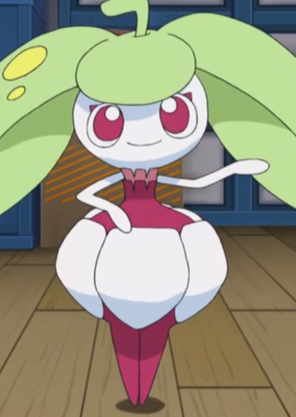 Steenee photo