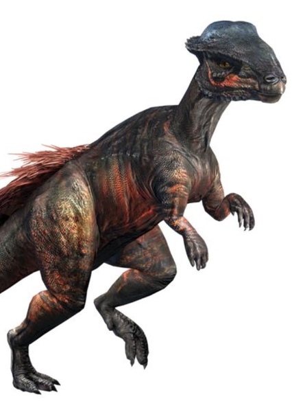 Stegoceras photo