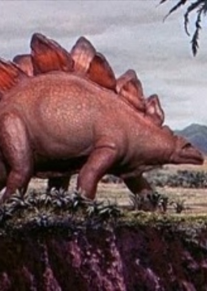 Stegosaurus photo