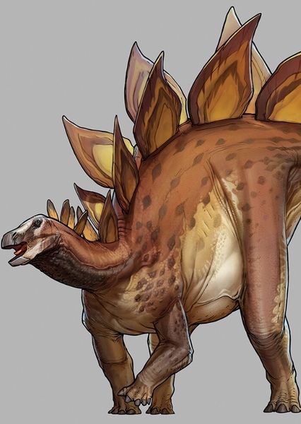 Stegosaurus photo