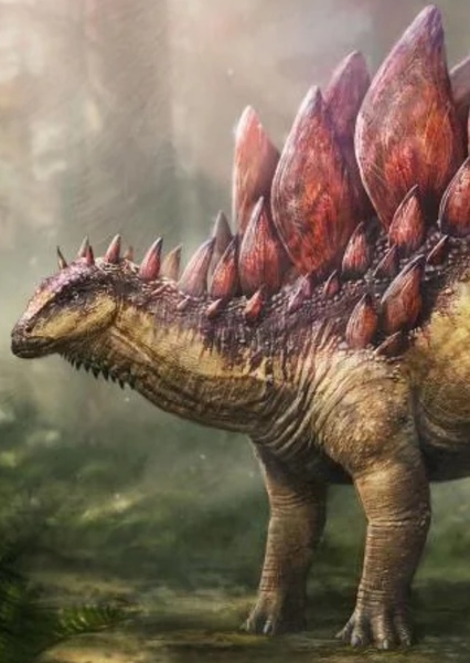 Stegosaurus photo