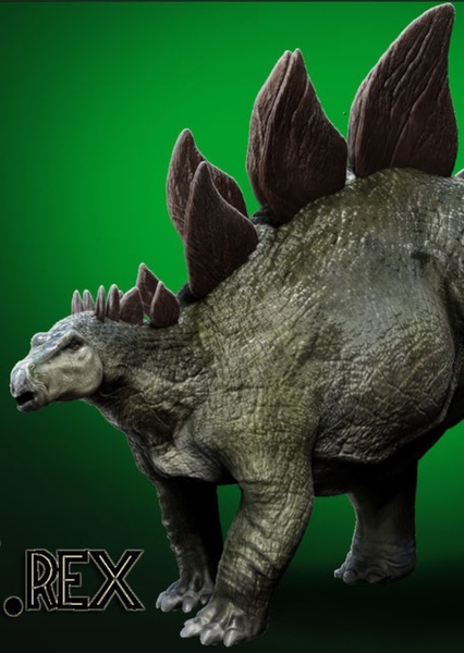 Stegosaurus photo