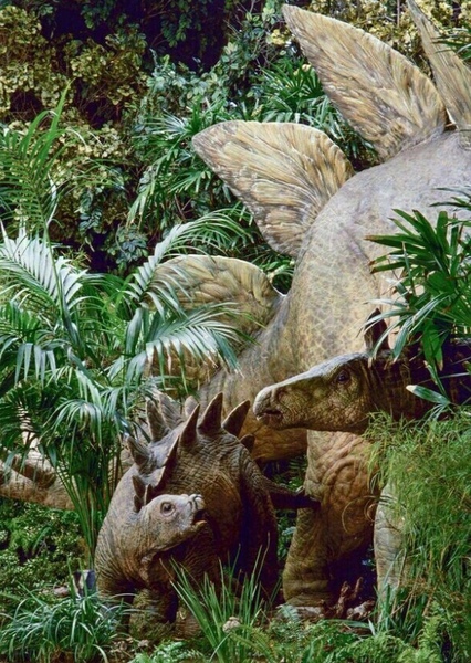 Stegosaurus photo