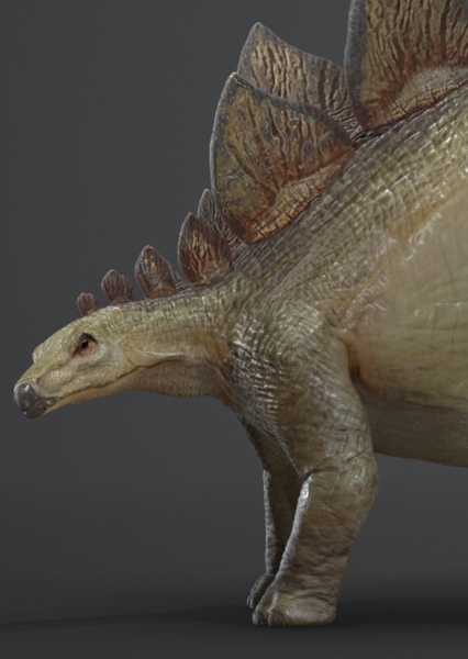 Stegosaurus