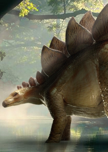 Stegosaurus photo