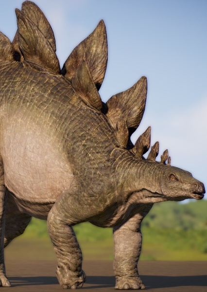 Stegosaurus photo