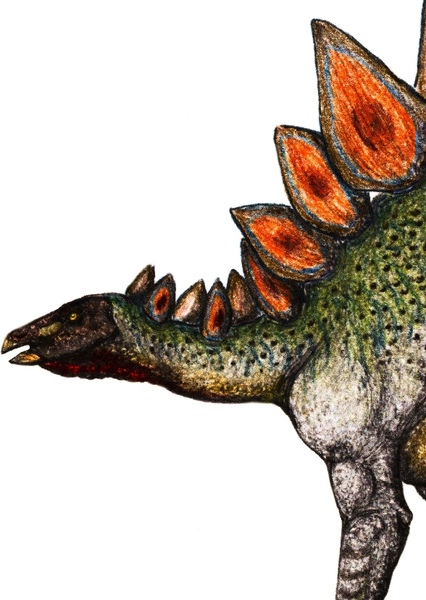 Stegosaurus photo