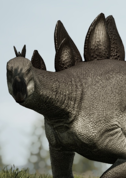 Stegosaurus photo
