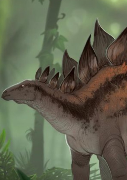 Stegosaurus photo