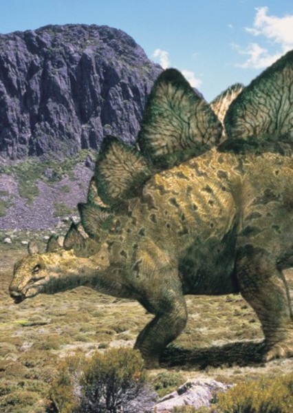 Stegosaurus photo