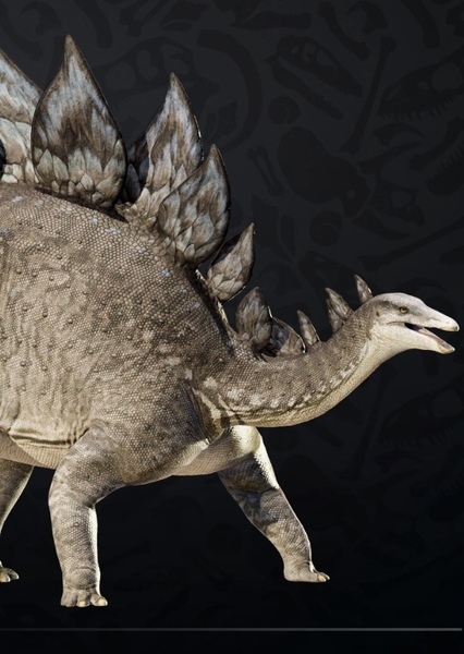 Stegosaurus photo