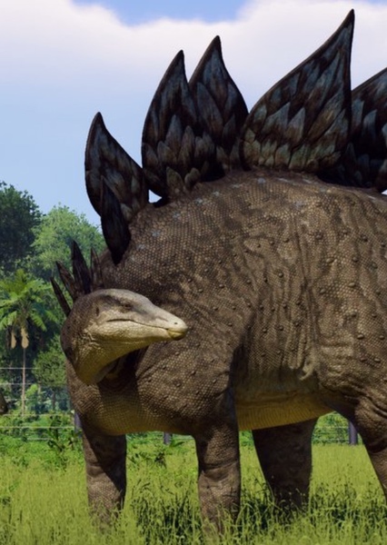 Stegosaurus