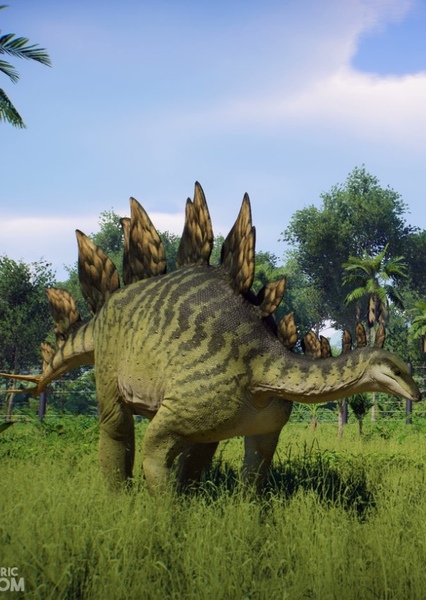 Stegosaurus photo