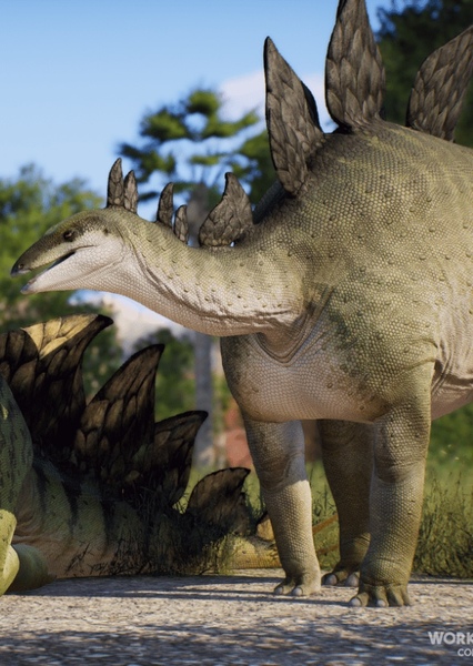 Stegosaurus photo