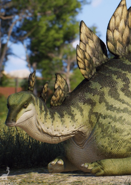 Stegosaurus photo
