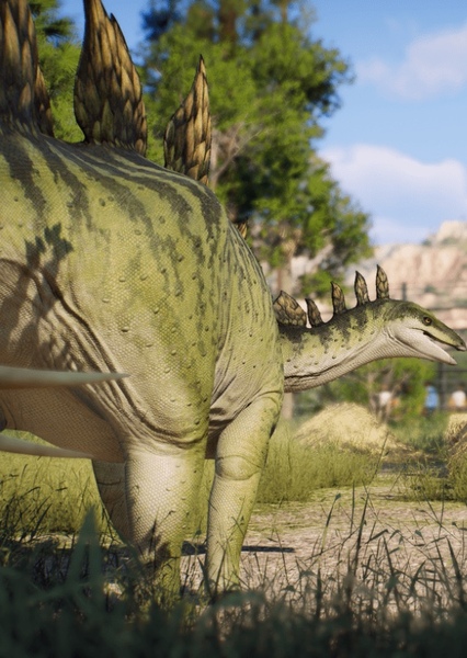 Stegosaurus photo