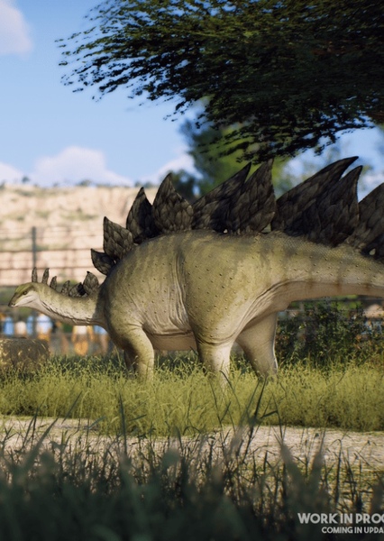Stegosaurus photo