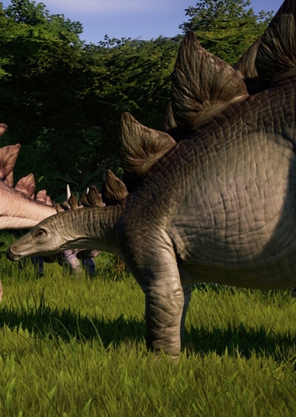 Stegosaurus photo