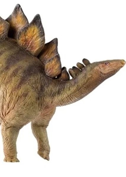 Stegosaurus photo