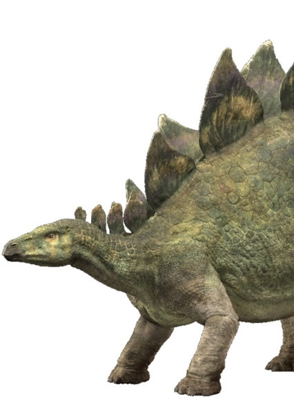 Stegosaurus photo