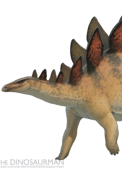 Stegosaurus photo