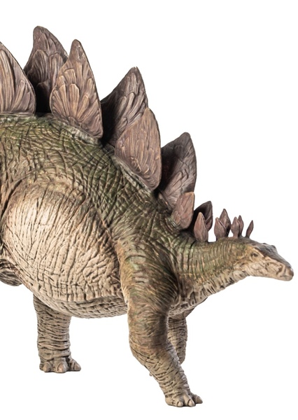 Stegosaurus photo
