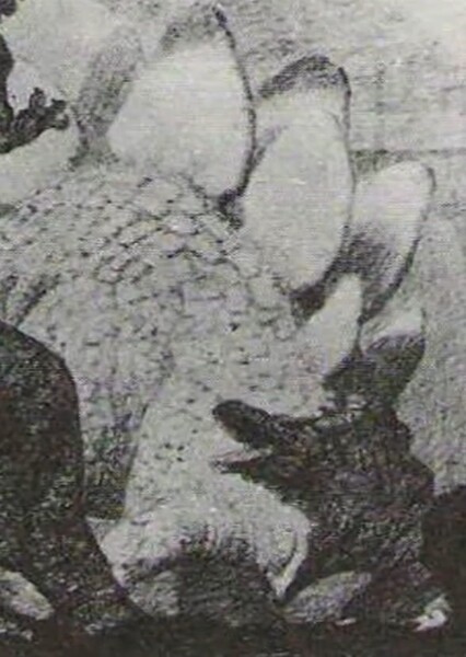 Stegosaurus (King Kong) photo