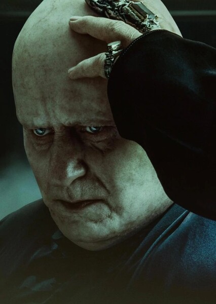 Stellan Skarsgård photo