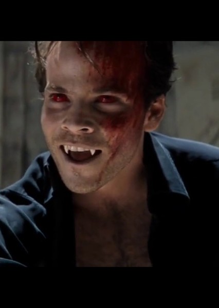 Stephen Dorff photo