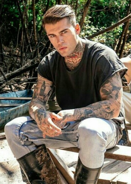 Stephen James Hendry photo