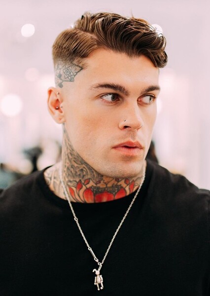 Stephen James Hendry photo