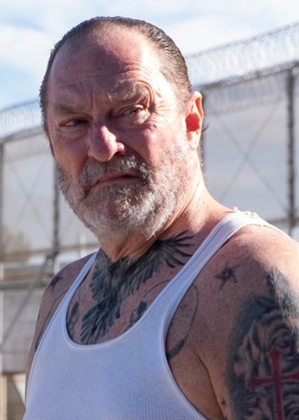 Stephen Root photo
