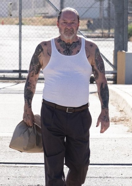 Stephen Root photo