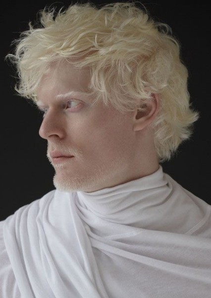 Stephen Thompson photo