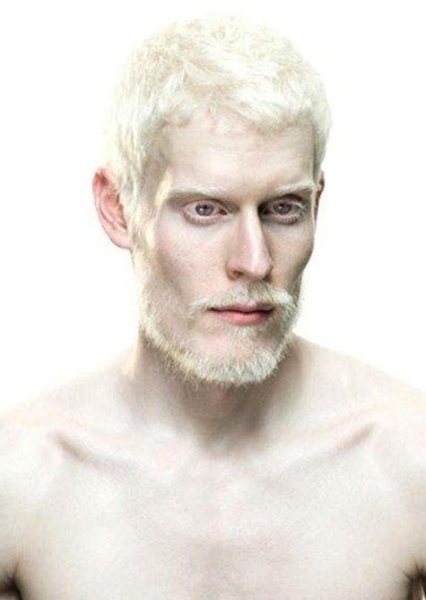 Stephen Thompson