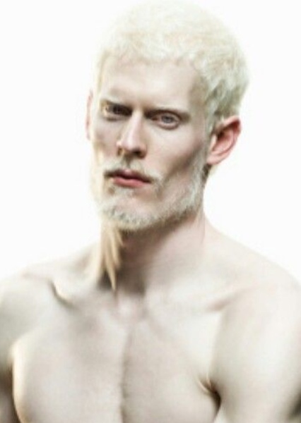Stephen Thompson photo