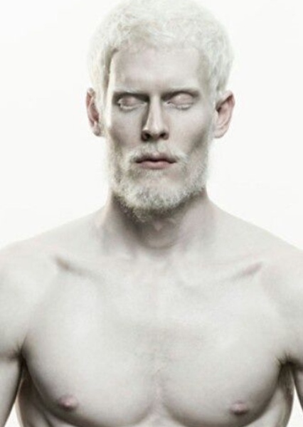 Stephen Thompson photo
