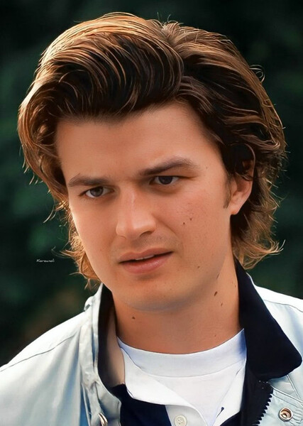 Steve Harrington photo