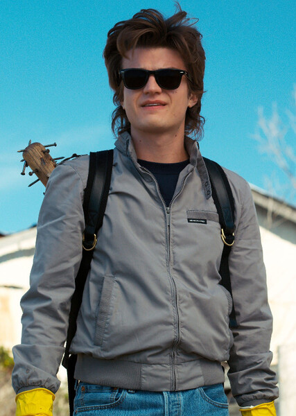Steve Harrington photo