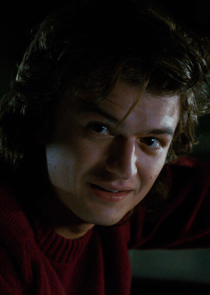 Steve Harrington photo