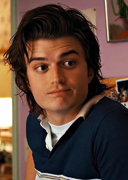 Steve Harrington photo