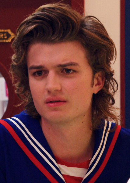 Steve Harrington photo