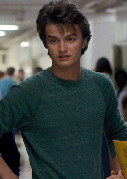 Steve Harrington photo