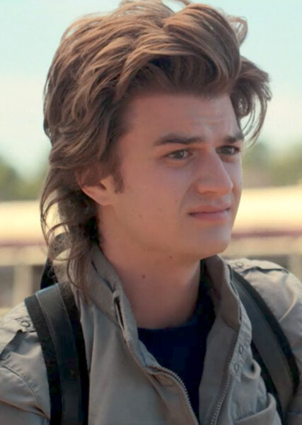 Steve Harrington photo