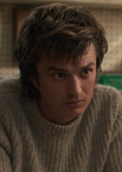 Steve Harrington photo