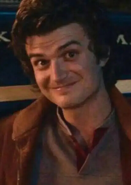 Steve Harrington photo