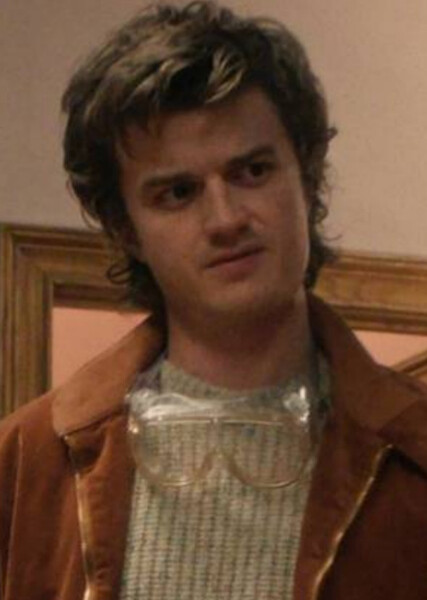 Steve Harrington photo