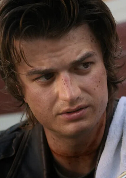 Steve Harrington photo