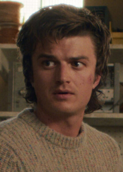 Steve Harrington photo